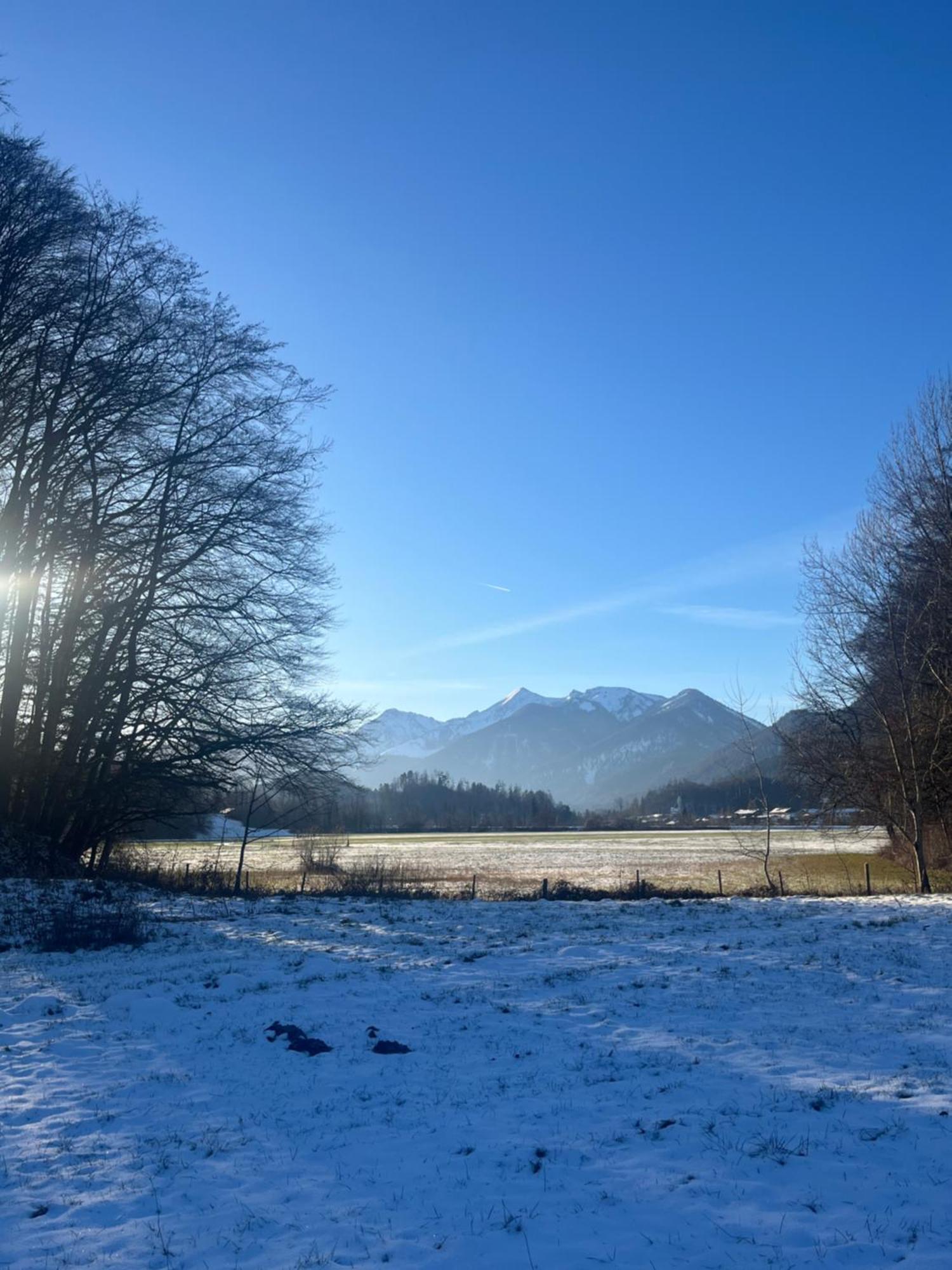 Charmantes Garten-Apartment: Erholung Im Chiemgau อุนเทอร์เวิสเซ็น ภายนอก รูปภาพ